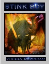 Stink Boy