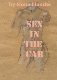Sex In The Car