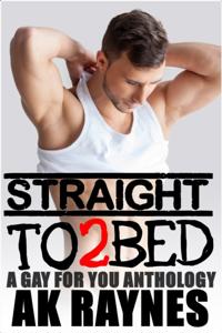 Straight to Bed, Volume 2 (A Gay for You Anthology)