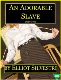 Adorable Slave (Part Two)