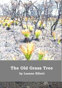 Old Grass Tree