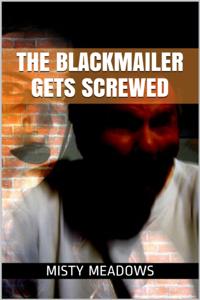 Blackmailer Gets Screwed (BDSM)