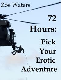 72 Hours: Pick Your Erotic Adventure