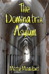 Dominatrix Asylum (Female Domination, BDSM)