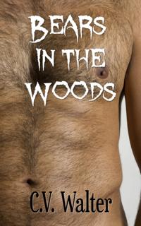 Bears in the Woods