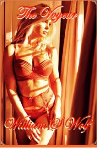 Voyeur... (Sex in Public Series, Book 1)