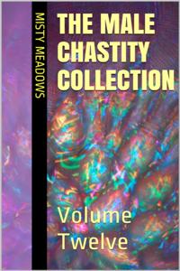 Male Chastity Collection: Volume Twelve