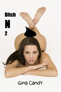 Bitch N 2