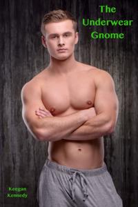 Underwear Gnome