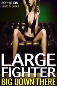 Large Fighter
