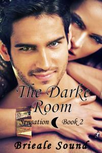 Darke Room, Sensation Book 2