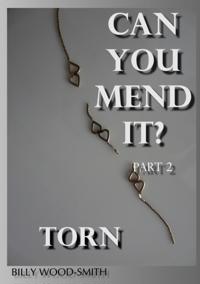Can You Mend It? Part 2: Torn