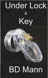 Under Lock & Key: An Erotic Tale of Male Chastity