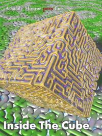 Inside The Cube