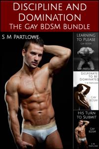 Discipline and Domination: The Gay BDSM Bundle (Gay, BDSM, Spanking, Bondage)