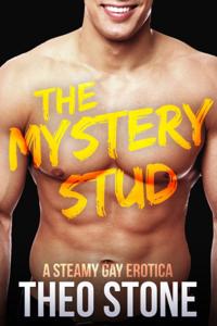 Mystery Stud