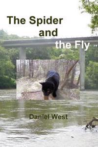 The Spider and the Fly