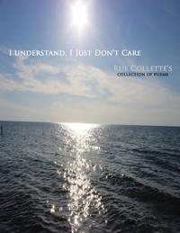 I Understand, I Just Don't Care.