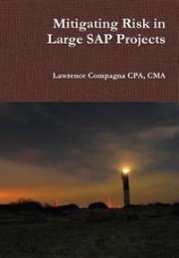 Mitigating Risk in Large SAP Projects