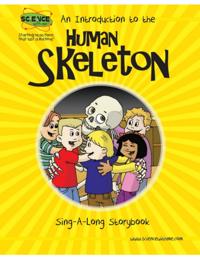 Introduction to the Human Skeleton