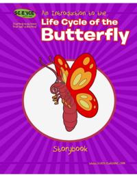 Introduction to the Life Cycle of the Butterfly