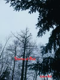 Stories of Odd