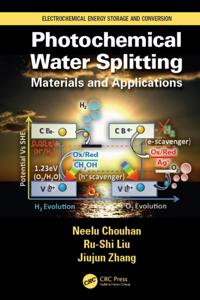 Electrochemical Energy Storage and Conversion