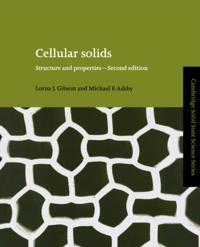 Cambridge Solid State Science Series