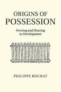 Bokomslag for "Origins of Possession"