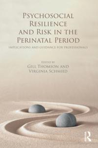 Psychosocial Resilience and Risk in the Perinatal Period