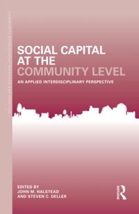 Community Development Research and Practice Series