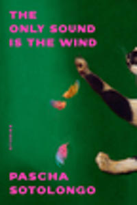 The Only Sound Is the Wind