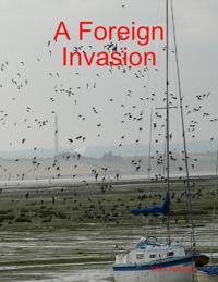 Foreign Invasion