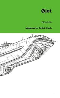 Øjet