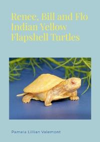 Renee, Bill and Flo Indian Yellow Flapshell Turtles