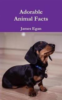 Adorable Animal Facts