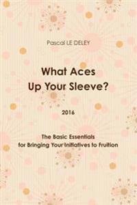 What Aces Up Your Sleeve? 2016: the Basic Essentials for Bringing Your Initiatives to Fruition