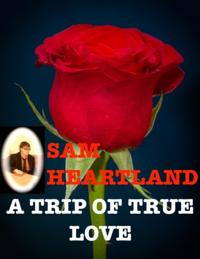 Trip of True Love