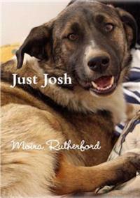 Just Josh
