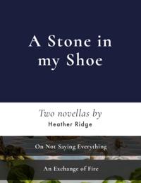Stone In My Shoe