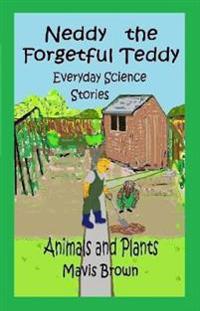 Neddy the Forgetful Teddy Everyday Science Stories