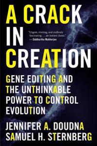 Crack In Creation
