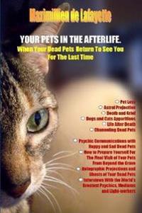 Your Pets in the Afterlife: When Your Dead Pets Return to See You for the Last Time
