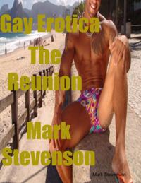 Gay Erotica the Reunion