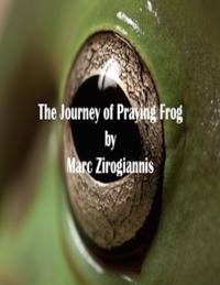 Journey of Praying Frog