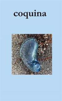Coquina