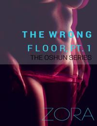 Wrong Floor, Pt. 1 - The Oshun Series