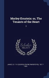 Morley Ernstein