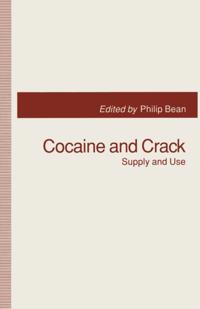 Palgrave Social & Cultural Studies Collection