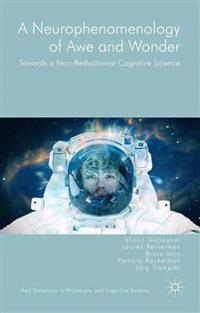 Bokomslag för "A Neurophenomenology of Awe and Wonder"